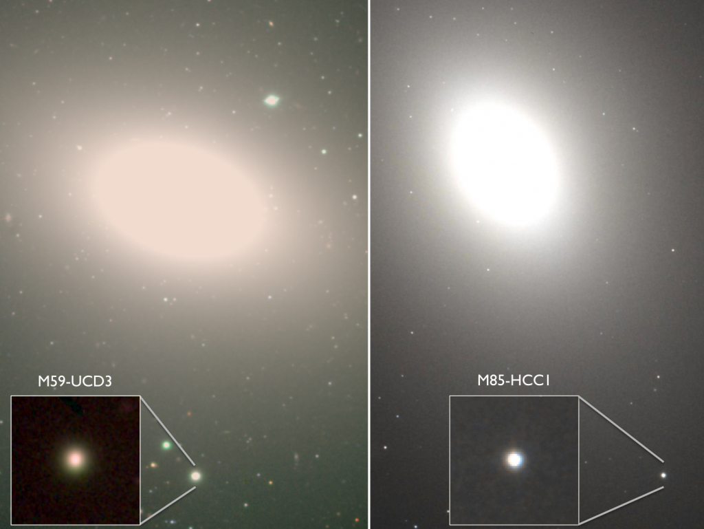 Two ultra-dense galaxies (insets) have been discovered orbiting larger host galaxies. The compact systems are thought to be the remnants of once normal galaxies that were swallowed by the host, a process that removed the fluffy outer parts of the systems, leaving the dense centers behind. Image credit: A. Romanowsky (SJSU), Subaru, Hubble Legacy Archive