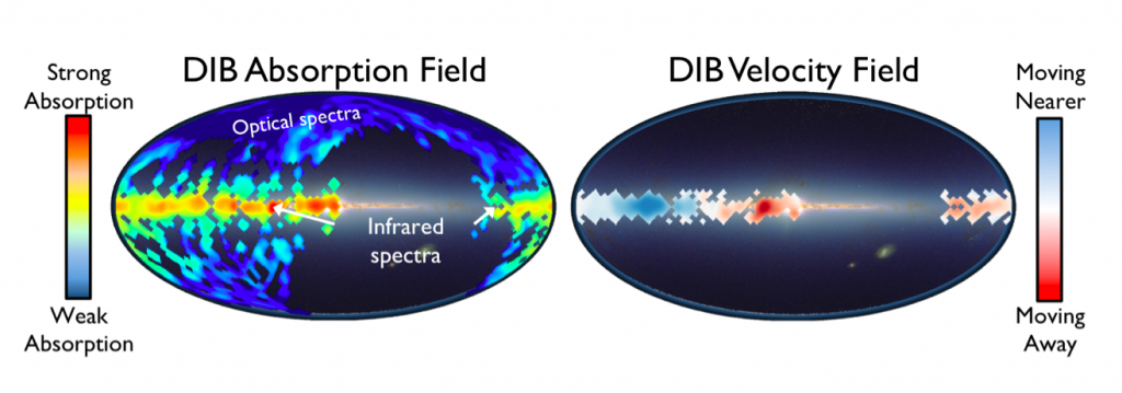 Figure 3: Left: The strength of DIB absorption seen in optical wavelengths from SDSS background galaxies and quasars (Lan et al. 2015) and in infrared wavelengths with APOGEE (Zasowski et al. 2015). Click HERE for an interactive version of this map! Right: The motion of the APOGEE DIB molecules with respect to the Sun. Image credit: T. W. Lan and G. Zasowski. (HERE=http://www.pha.jhu.edu/~tlan/dibs-map.html)